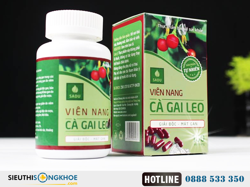 viên nang cà gai leo