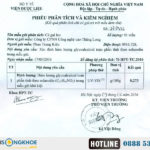 Cà Gai Leo Sadu - Viên Uống Hỗ Trợ Giải Độc Gan, Mát Gan