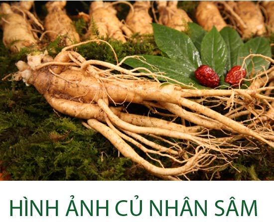 thuốc tăng cân Kentamax