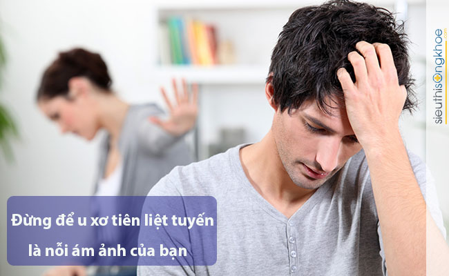 Công dụng trị bệnh của chùm ngây