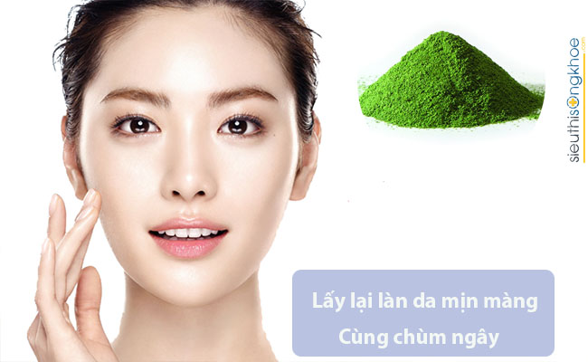 Công dụng trị bệnh của chùm ngây