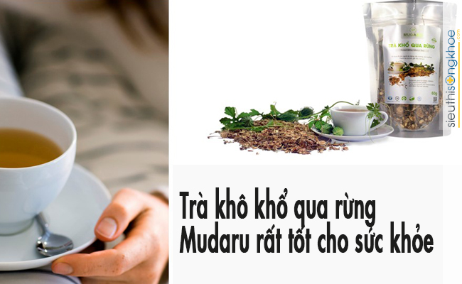Uống trà khô khổ qua rừng Mudaru bao lâu hiệu quả?