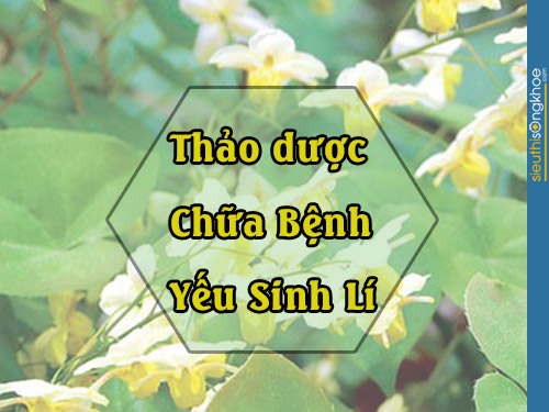 yếu sinh lí