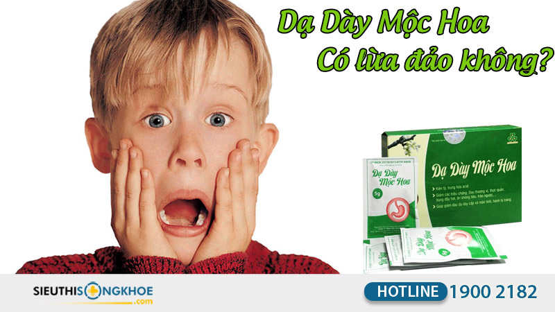 dạ dày mộc hoa có lừa đảo không