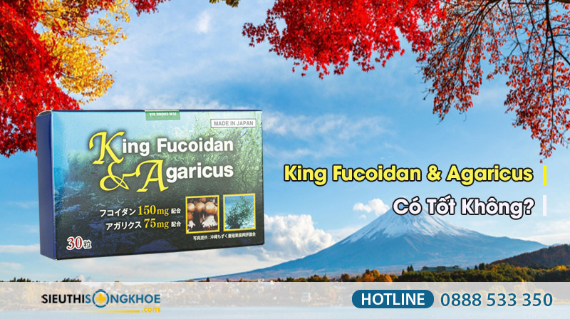 king fucodian agaricus bán ở đâu