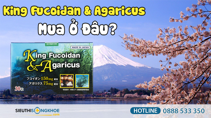 mua viên uống king fucoidan & agaricus ở đâu