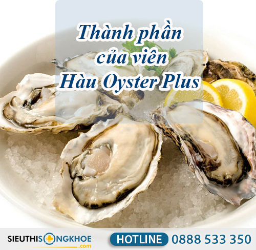 thanh phan cua oyster plus