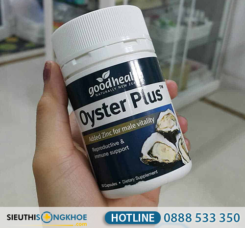 vien hau oyster plus 1