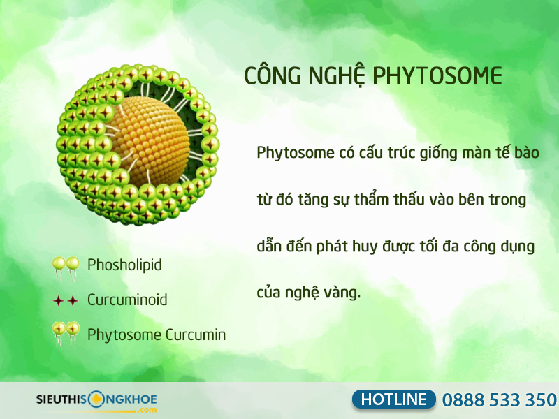 phytosom curma tam thất xạ đen học viện quân y có tốt không