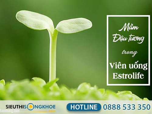 estrolife có tốt không