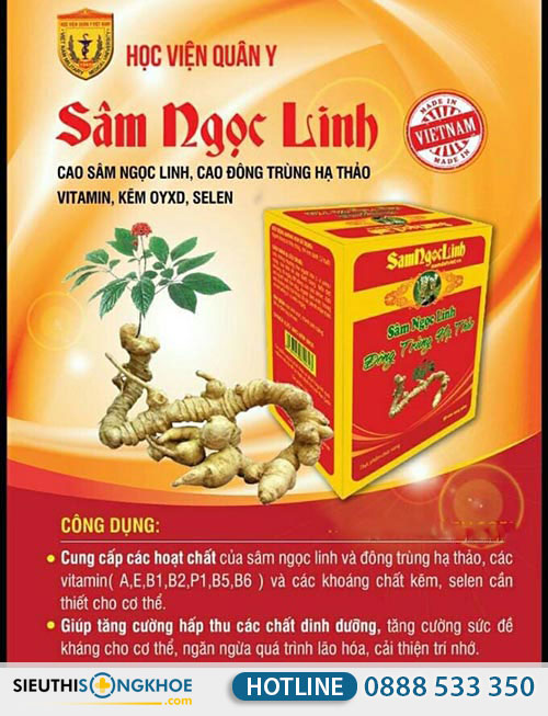 sâm ngọc linh đông trùng hạ thảo hvqy có tốt không