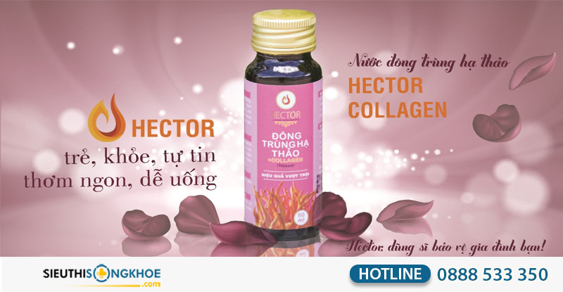 nuoc dong trung ha thao hector collagen co tot khong