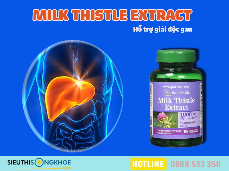 milk thistle extract 