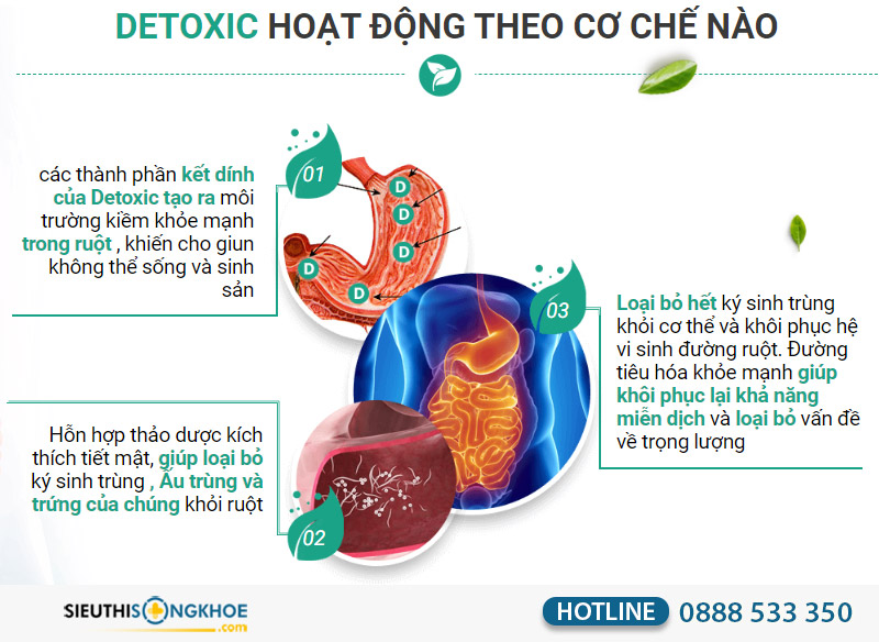 detoxic co tot khong