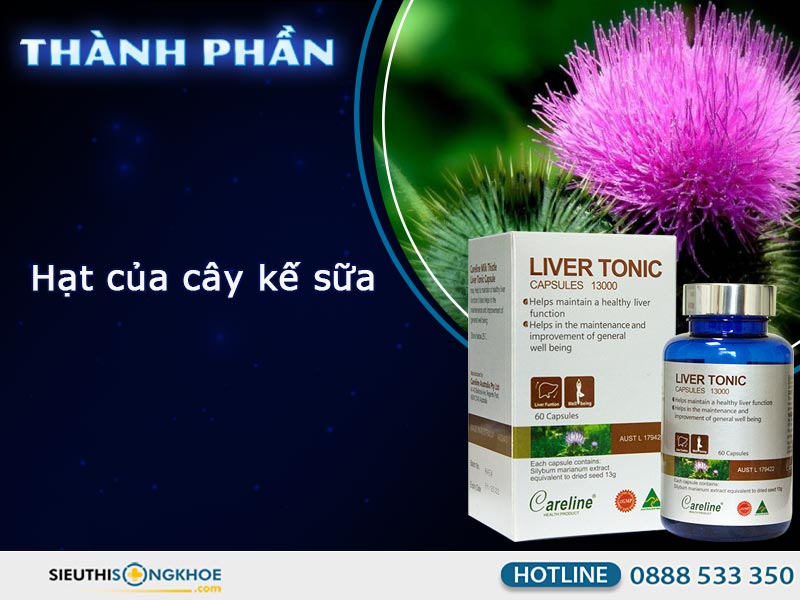 vien bo gan liver tonic co tot khong