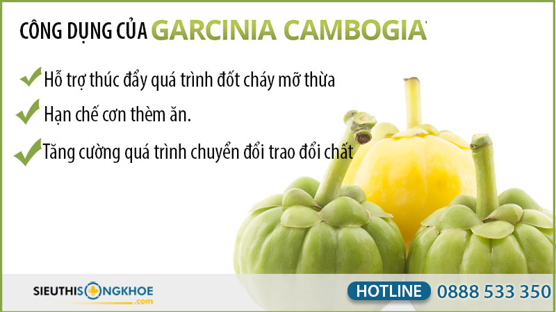 garcinia có tốt không