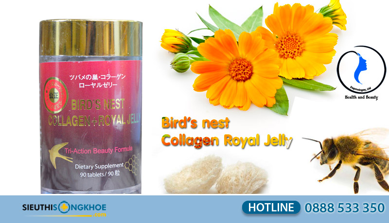 tổ yến collagen sữa ong chúa