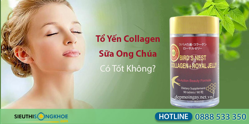 tổ yến collagen sữa ong chúa