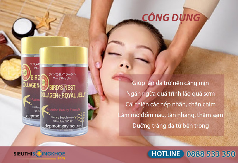 tổ yến collagen sữa ong chúa