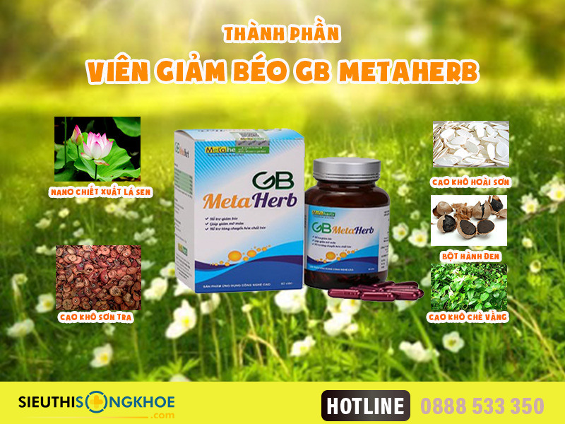 Viên Giảm Béo GB Metaherb Có Tốt Không? Giá Bao Nhiêu? Mua Ở Đâu?