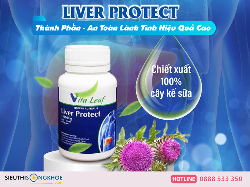 thành phần liver protect