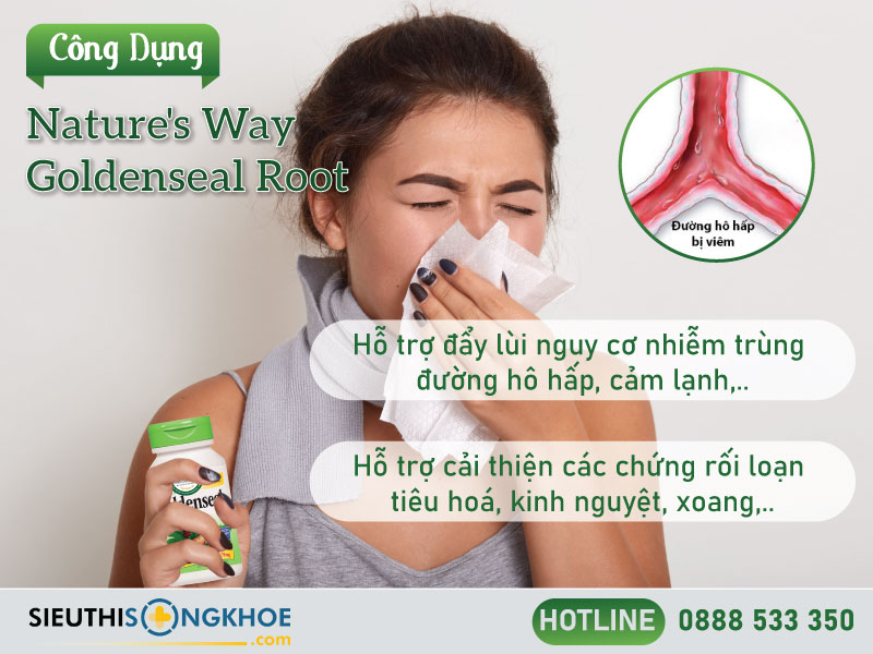 công dụng của nature's way goldenseal root