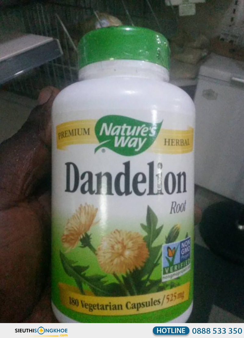 nature's way dandelion root