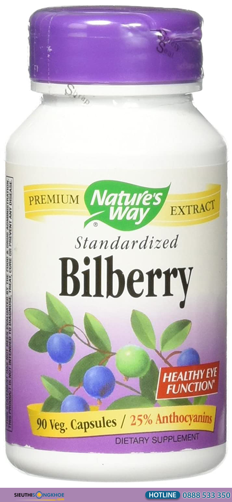 nature's way standardized bilberry