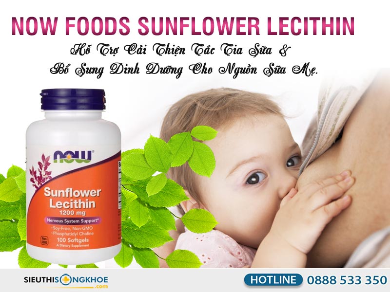 now foods sunflower lecithin