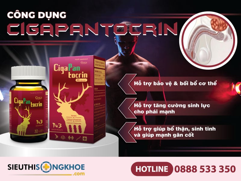 công dụng của cigapantocrin