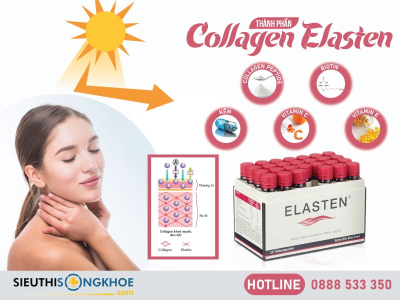 thành phần của collagen elasten