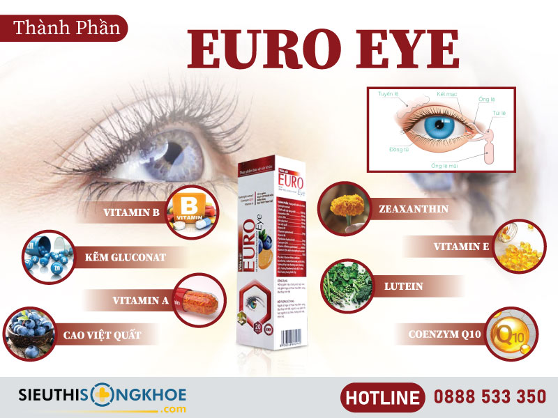 thành phần của euro eye