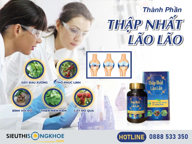 thành phần của thập nhất lão lão